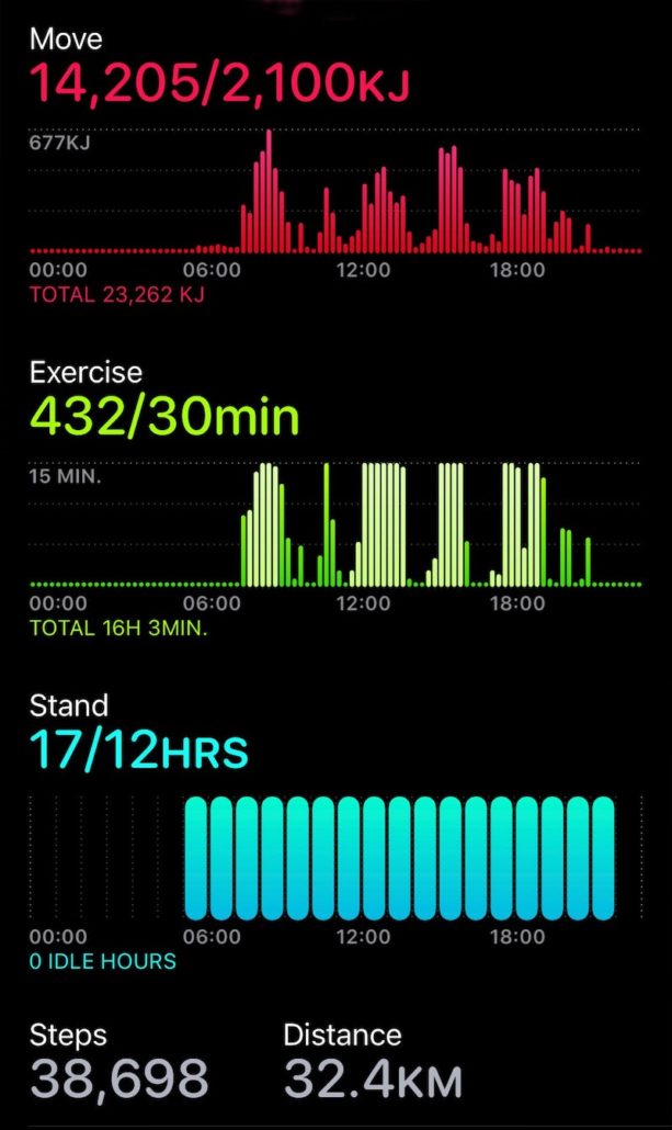 Apple Watch results for the day showing a move total of 14,205KJ, an exercise total of 432 minutes, and a stand total of 17 hours