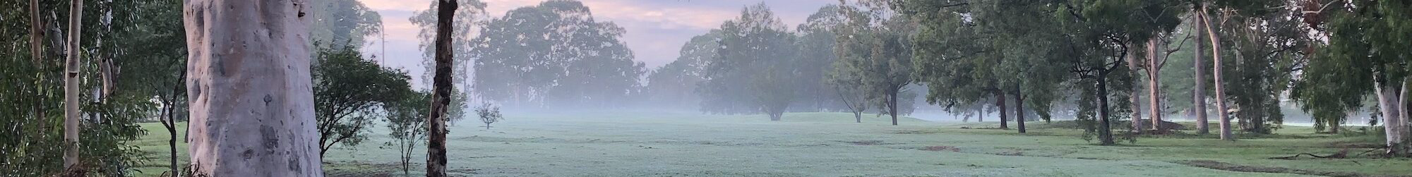 An early morning field in Parramatta Park covered in a light mist