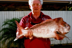 Snapper